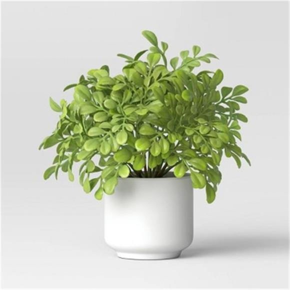 Artificial Boxwood Plant Light Green - Picture 1 of 4